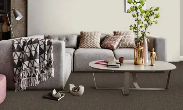 wall to wallcarpet color