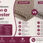 Difference Between Nylon and Polyester Carpet
