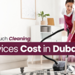 How Much Does Carpet Cleaning Cost in Dubai