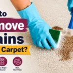 How to Remove Stains From Carpet