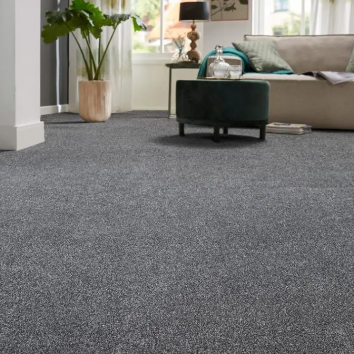 saxony grey carpets